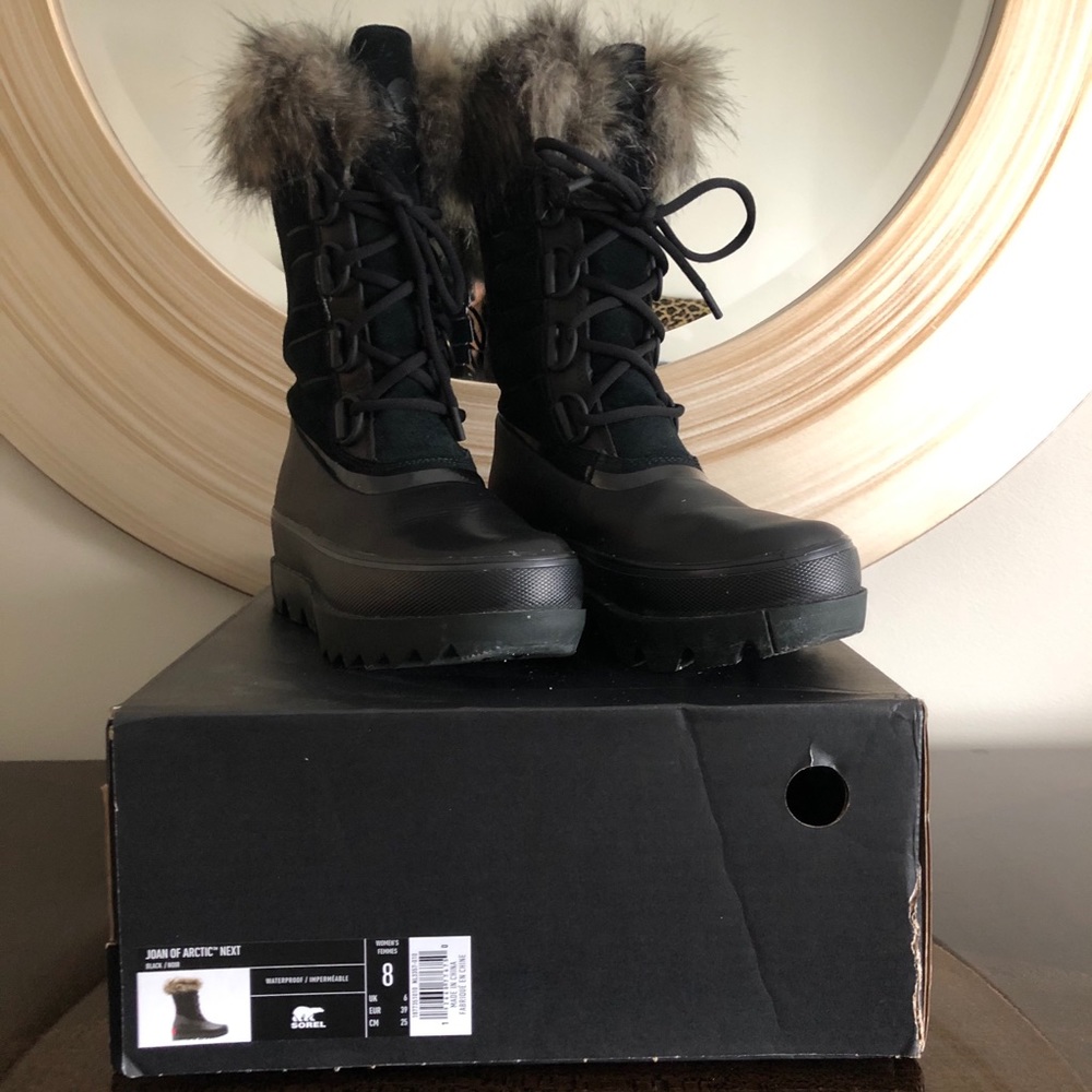 Joan of Arctic “NEXT”